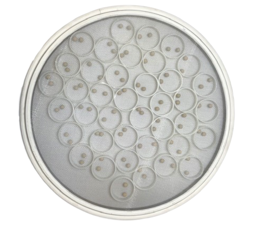 24 inch Self-Cleaning Sandwich Screen